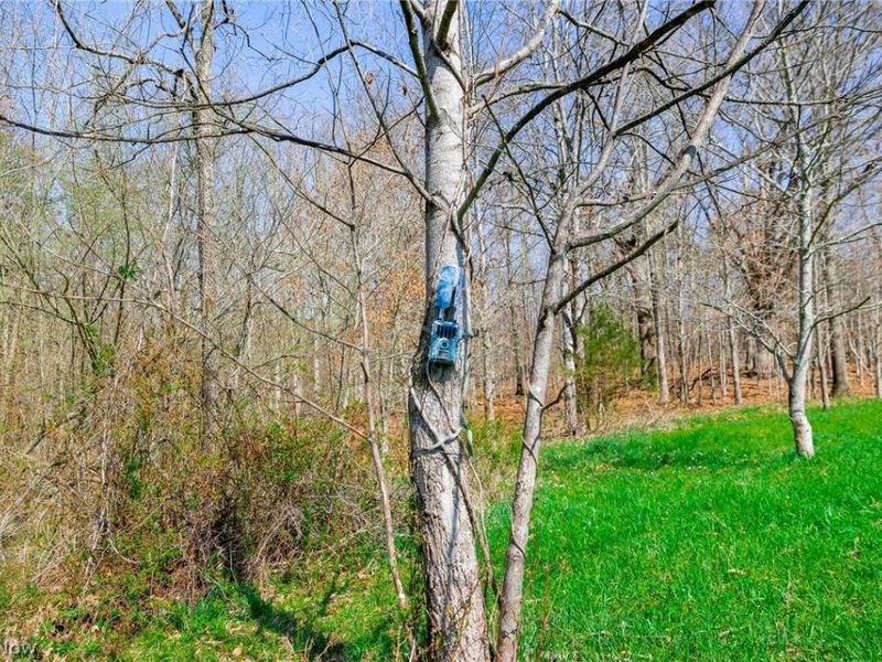 East Branch Road, Lowell, OH 45744 Photo 11