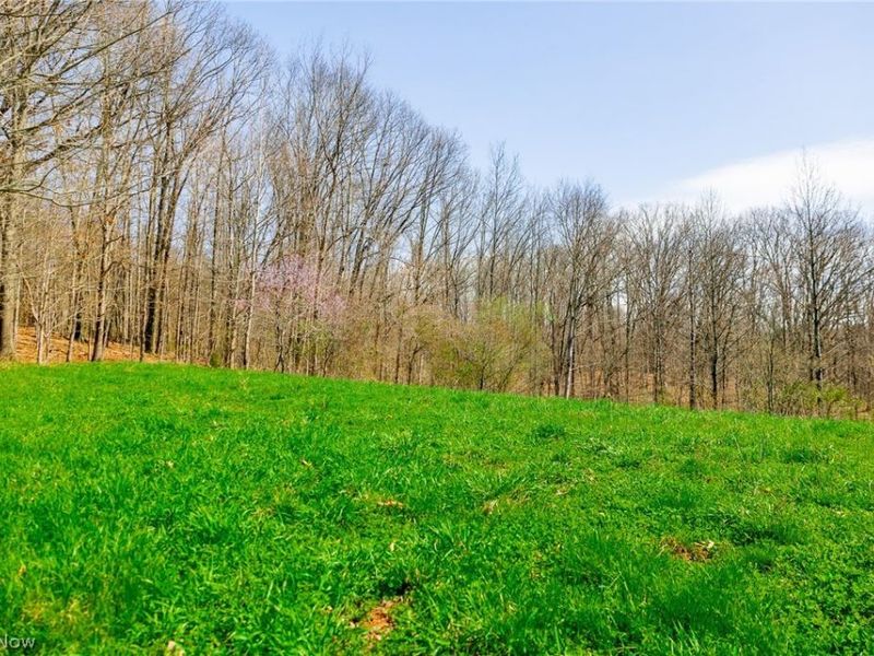 East Branch Road, Lowell, OH 45744 Photo 12