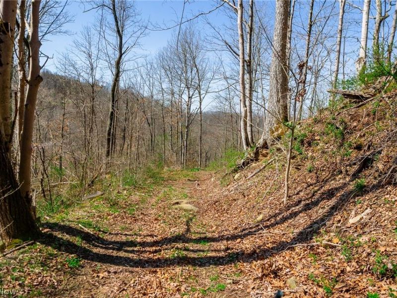 East Branch Road, Lowell, OH 45744 Photo 13