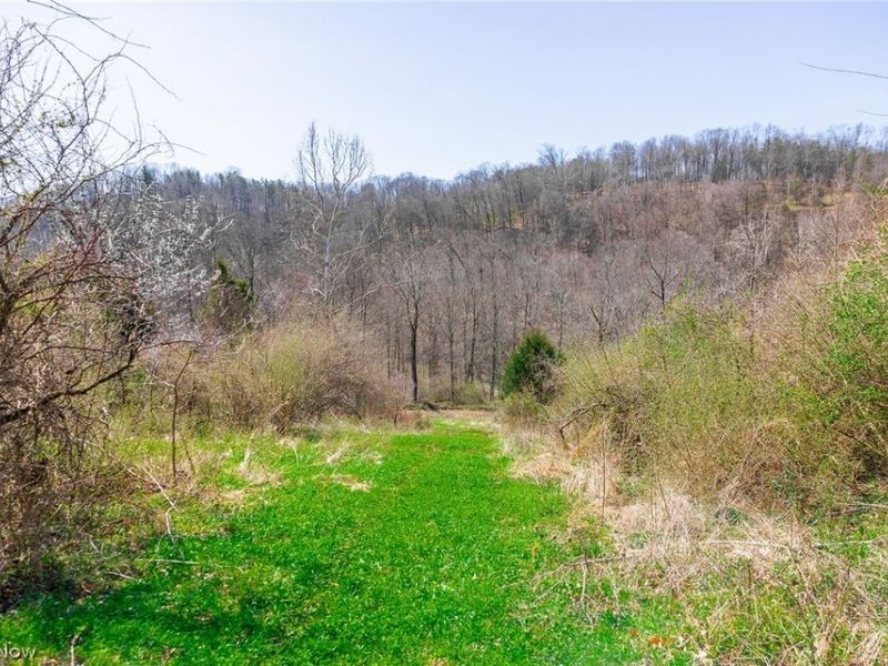 East Branch Road, Lowell, OH 45744 Photo 14