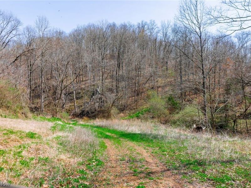 East Branch Road, Lowell, OH 45744 Photo 15