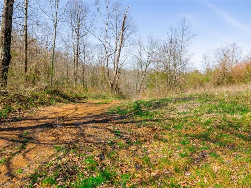 East Branch Road, Lowell, OH 45744 Photo 16