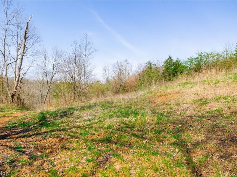 East Branch Road, Lowell, OH 45744 Photo 17