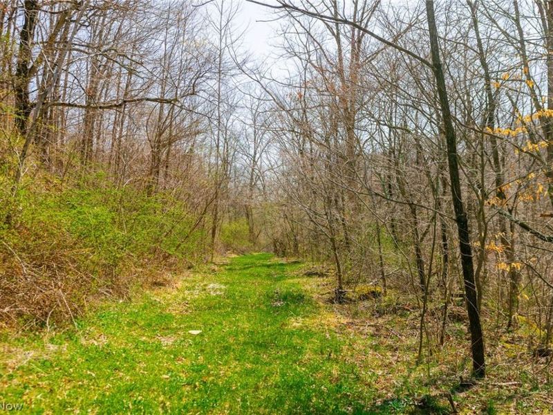 East Branch Road, Lowell, OH 45744 Photo 18