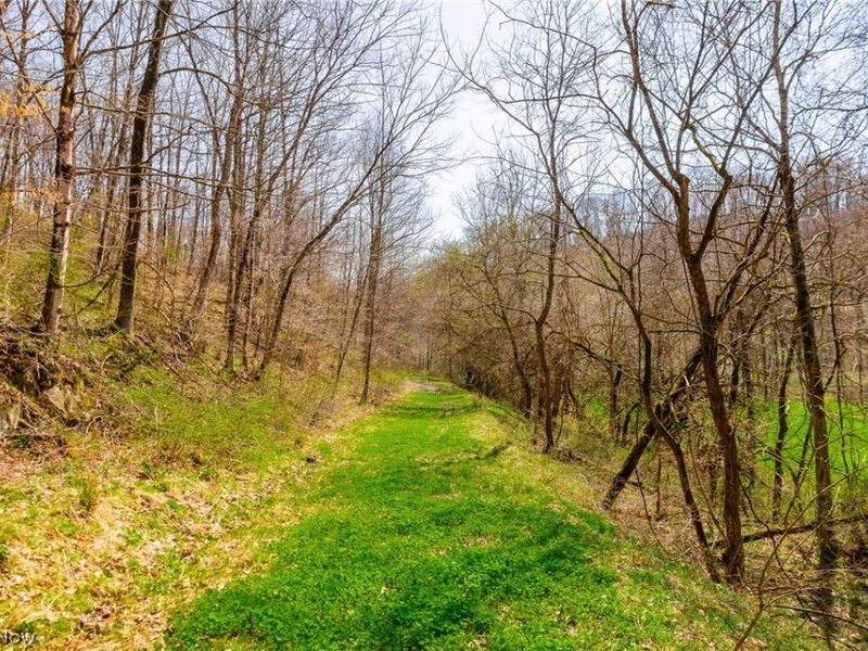 East Branch Road, Lowell, OH 45744 Photo 19