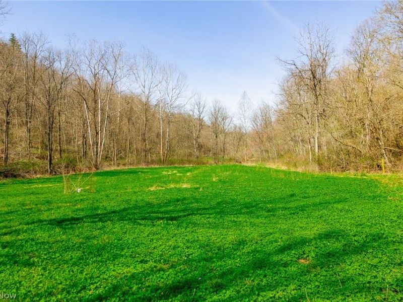 East Branch Road, Lowell, OH 45744 Photo 20