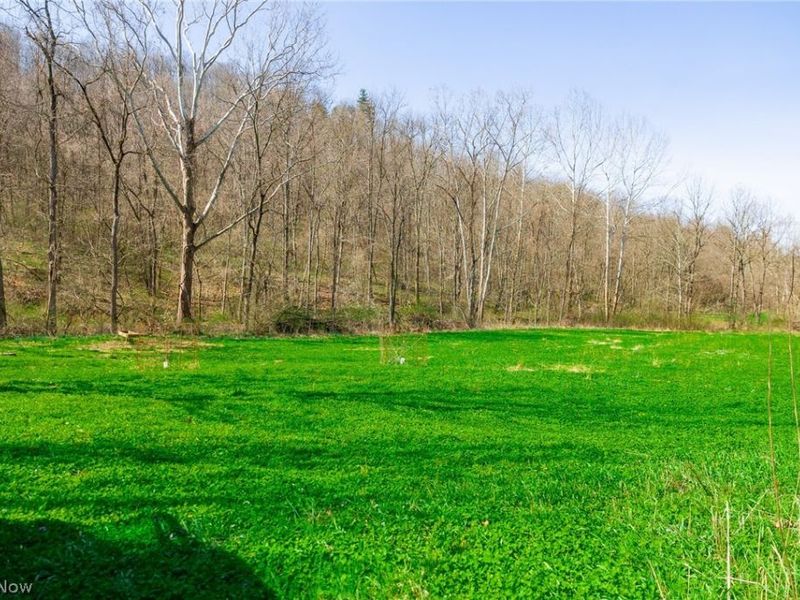 East Branch Road, Lowell, OH 45744 Photo 22