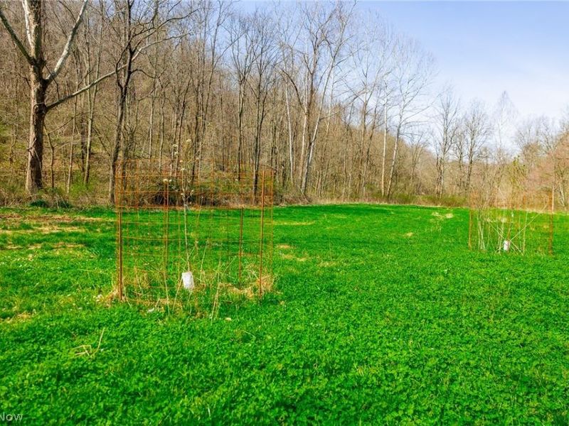 East Branch Road, Lowell, OH 45744 Photo 25