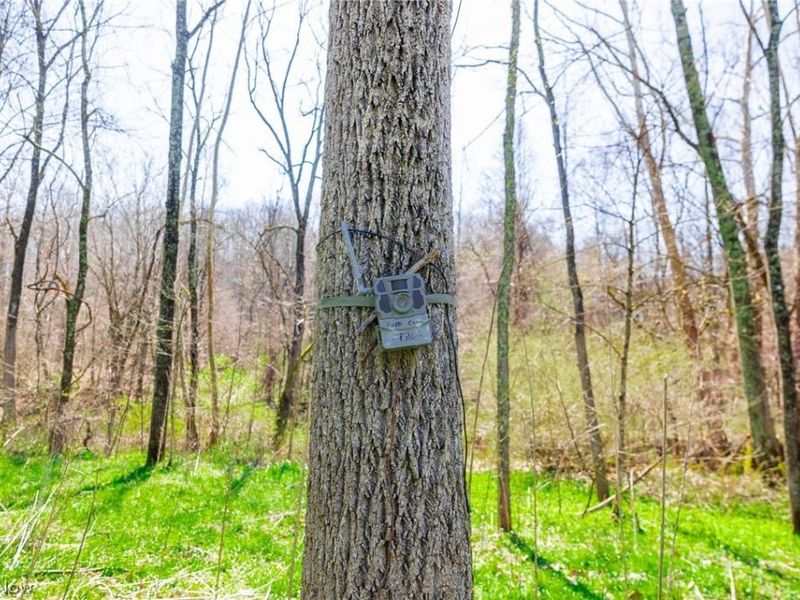 East Branch Road, Lowell, OH 45744 Photo 27