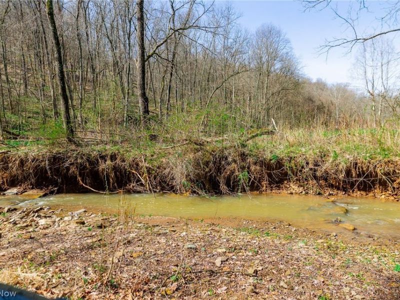 East Branch Road, Lowell, OH 45744 Photo 28