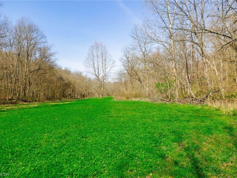 East Branch Road, Lowell, OH 45744 Photo 29