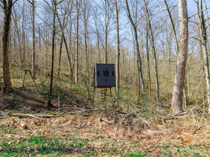 East Branch Road, Lowell, OH 45744 Photo 30