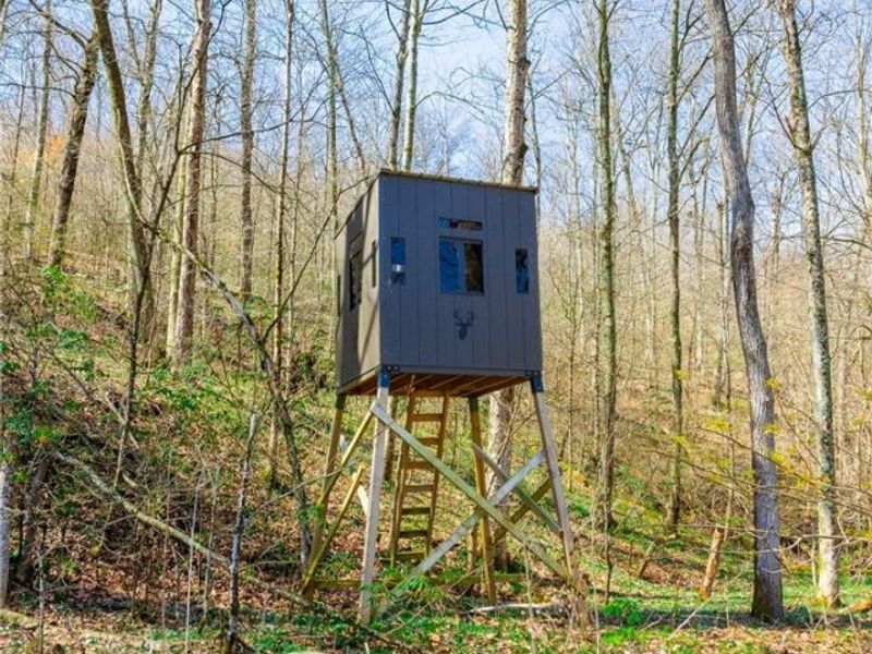 East Branch Road, Lowell, OH 45744 Photo 32