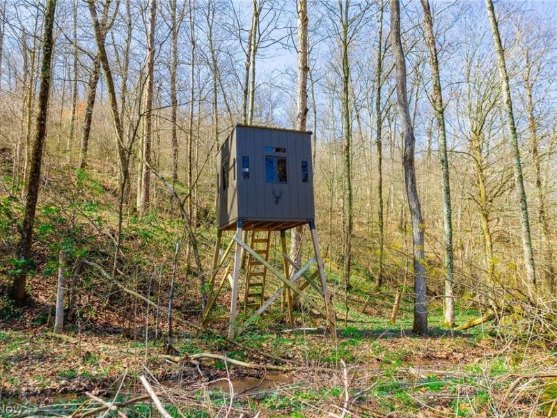 East Branch Road, Lowell, OH 45744 Photo 33