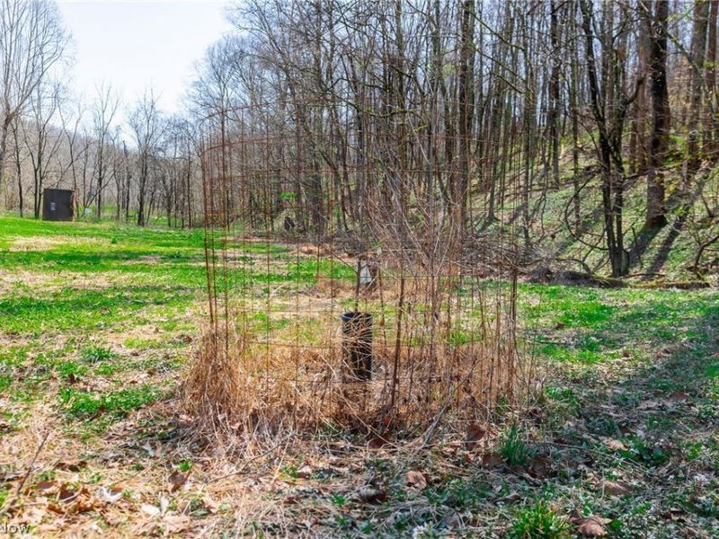 East Branch Road, Lowell, OH 45744 Photo 34