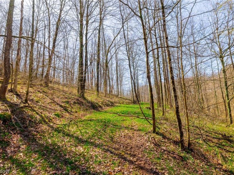 East Branch Road, Lowell, OH 45744 Photo 35