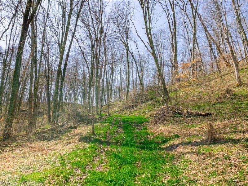 East Branch Road, Lowell, OH 45744 Photo 36