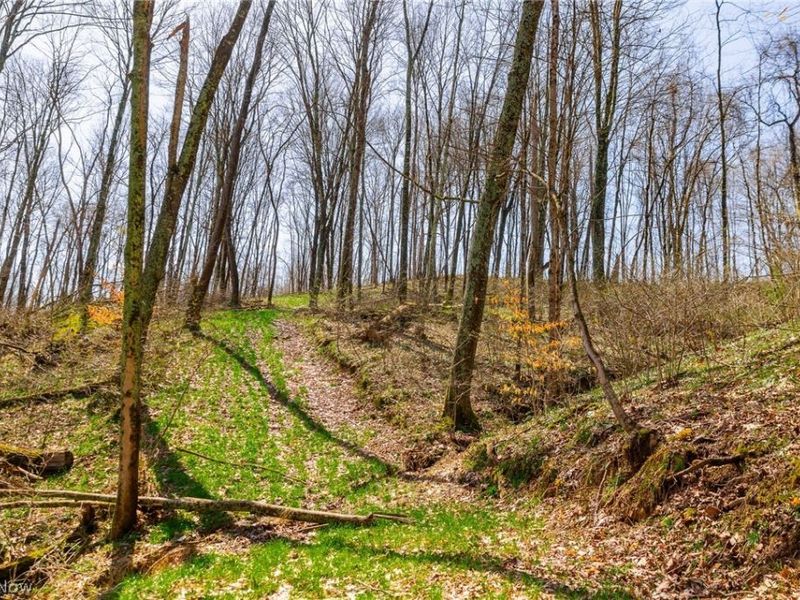 East Branch Road, Lowell, OH 45744 Photo 37