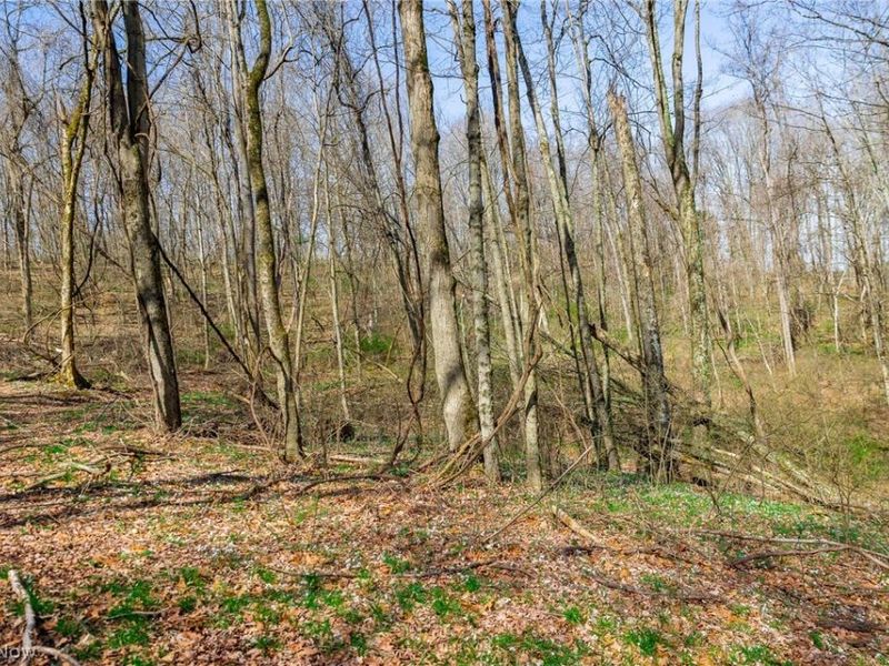 East Branch Road, Lowell, OH 45744 Photo 38