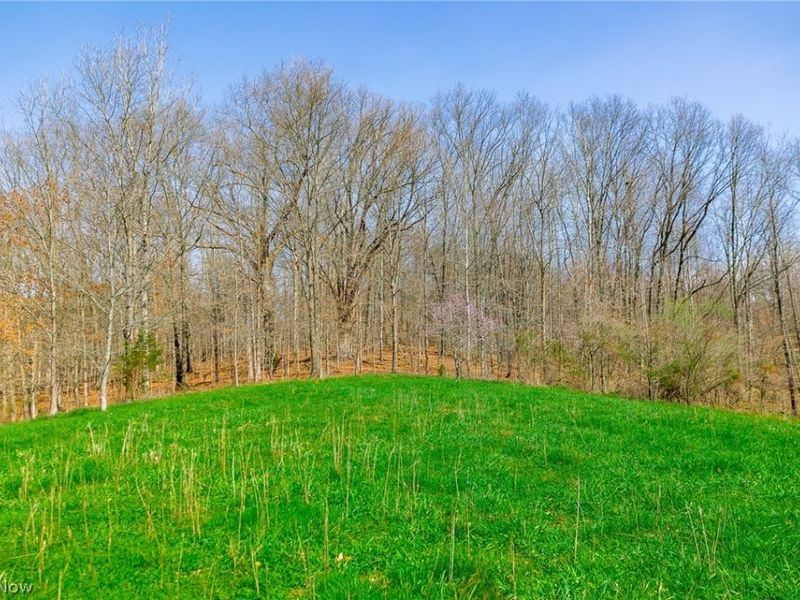 East Branch Road, Lowell, OH 45744 Photo 4