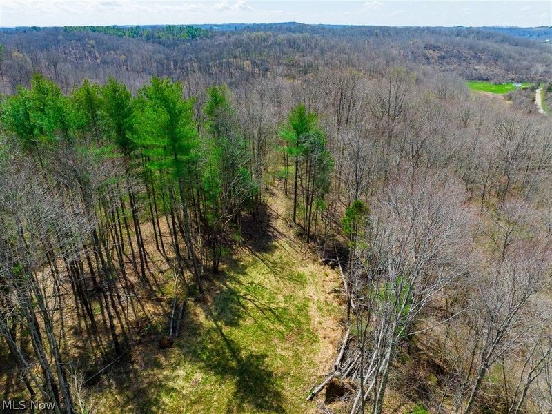 East Branch Road, Lowell, OH 45744 Photo 40