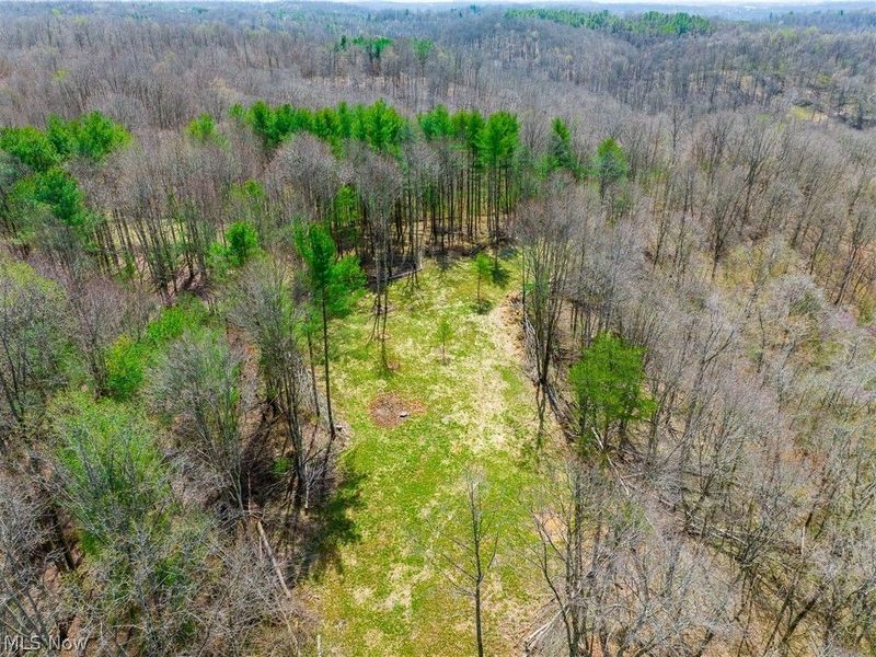 East Branch Road, Lowell, OH 45744 Photo 41