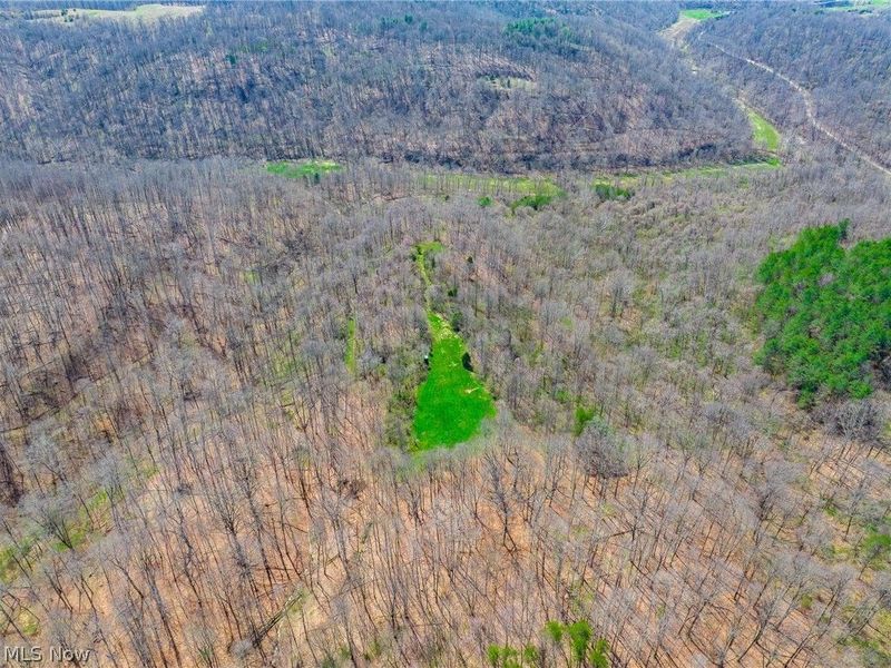 East Branch Road, Lowell, OH 45744 Photo 43