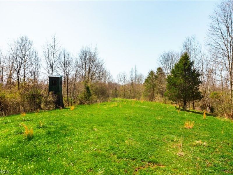 East Branch Road, Lowell, OH 45744 Photo 5