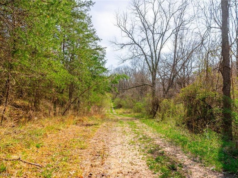 East Branch Road, Lowell, OH 45744 Photo 6