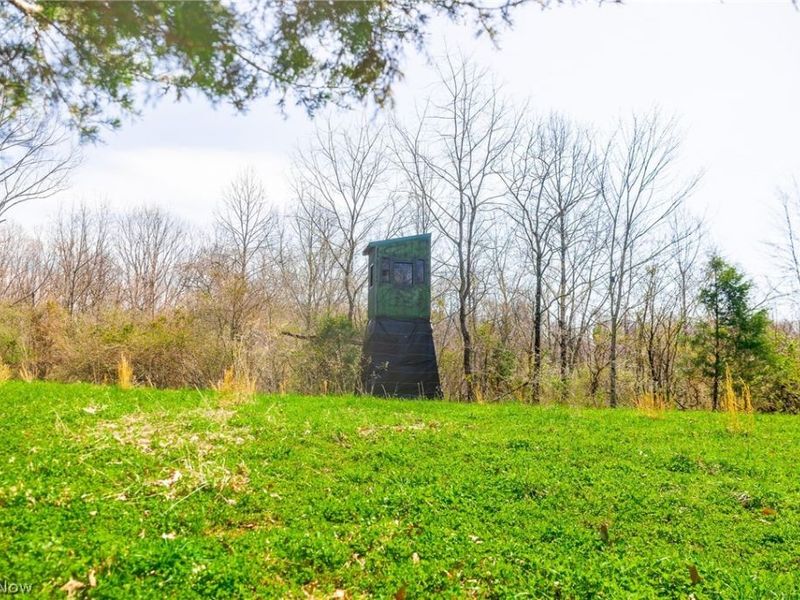 East Branch Road, Lowell, OH 45744 Photo 7