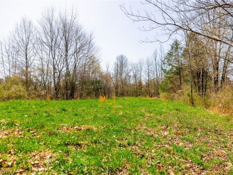 East Branch Road, Lowell, OH 45744 Photo 8