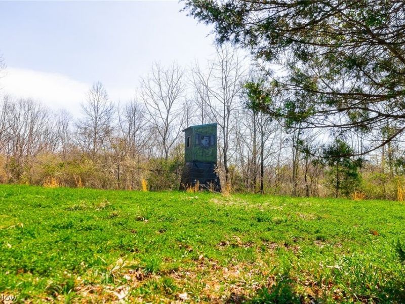 East Branch Road, Lowell, OH 45744 Photo 9