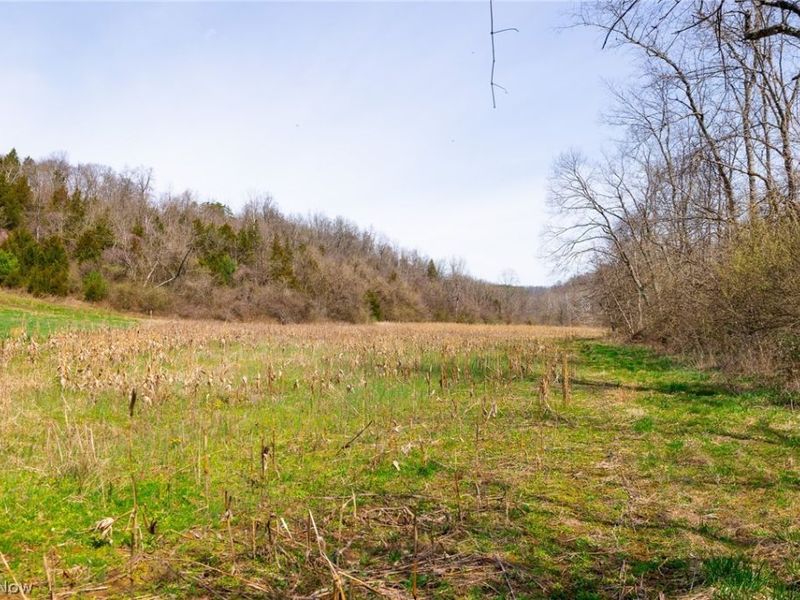 East Branch Road, Lowell, OH 45744 Photo 12