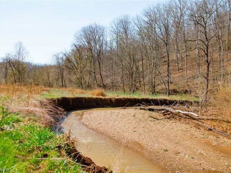 East Branch Road, Lowell, OH 45744 Photo 14