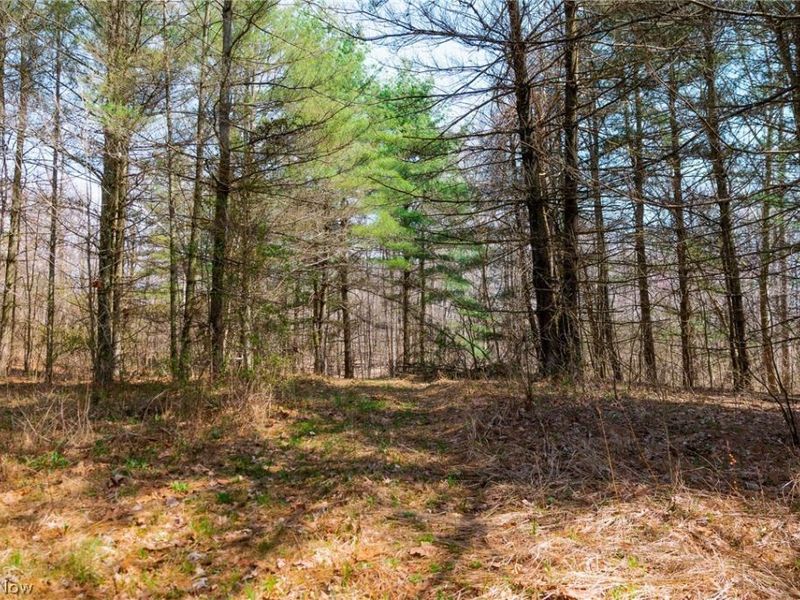 East Branch Road, Lowell, OH 45744 Photo 19