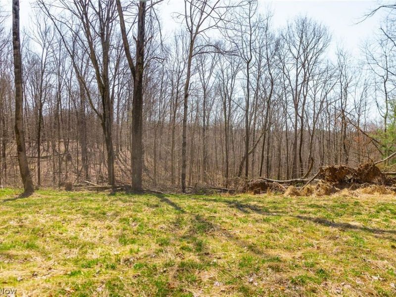 East Branch Road, Lowell, OH 45744 Photo 21