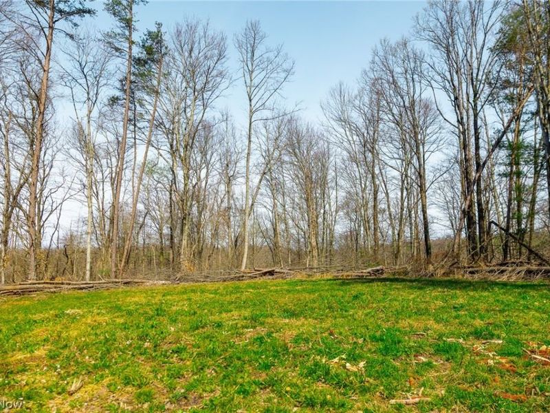 East Branch Road, Lowell, OH 45744 Photo 22