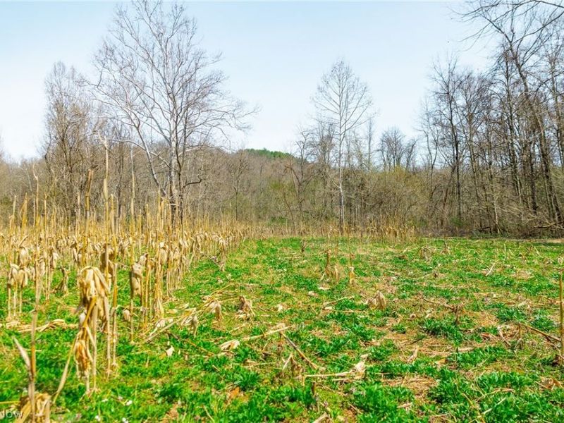 East Branch Road, Lowell, OH 45744 Photo 24