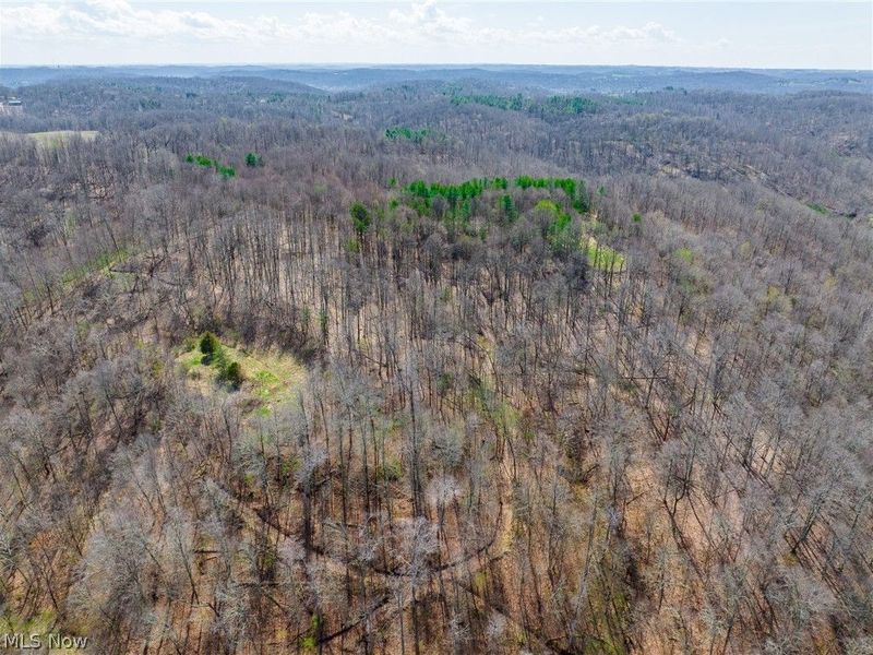 East Branch Road, Lowell, OH 45744 Photo 33