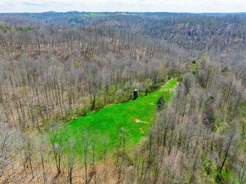 East Branch Road, Lowell, OH 45744 Photo 35