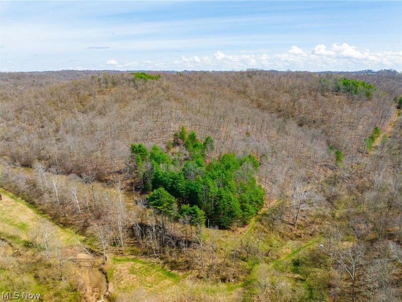 East Branch Road, Lowell, OH 45744 Photo 4