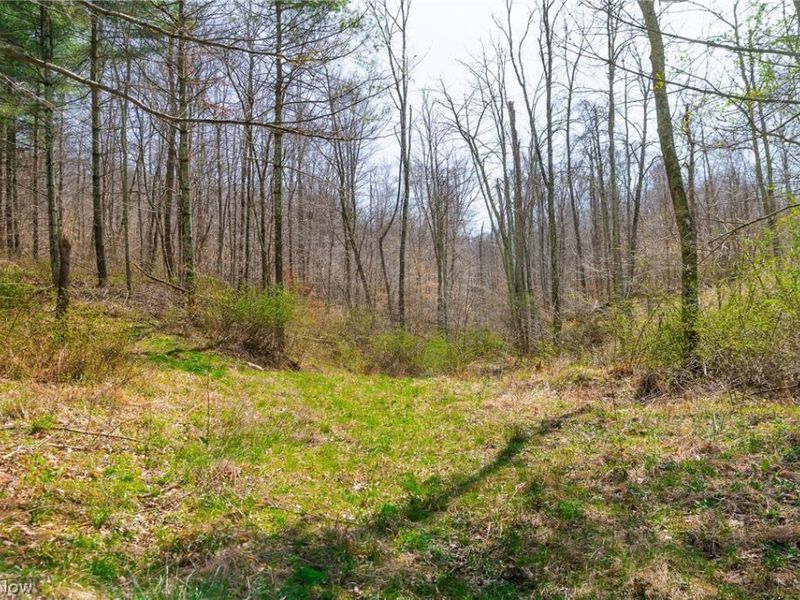 East Branch Road, Lowell, OH 45744 Photo 9