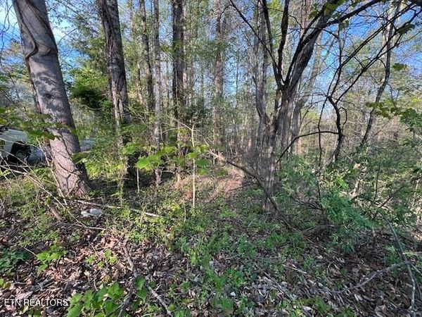 Pine Hollow Rd, Jacksboro, TN 37757