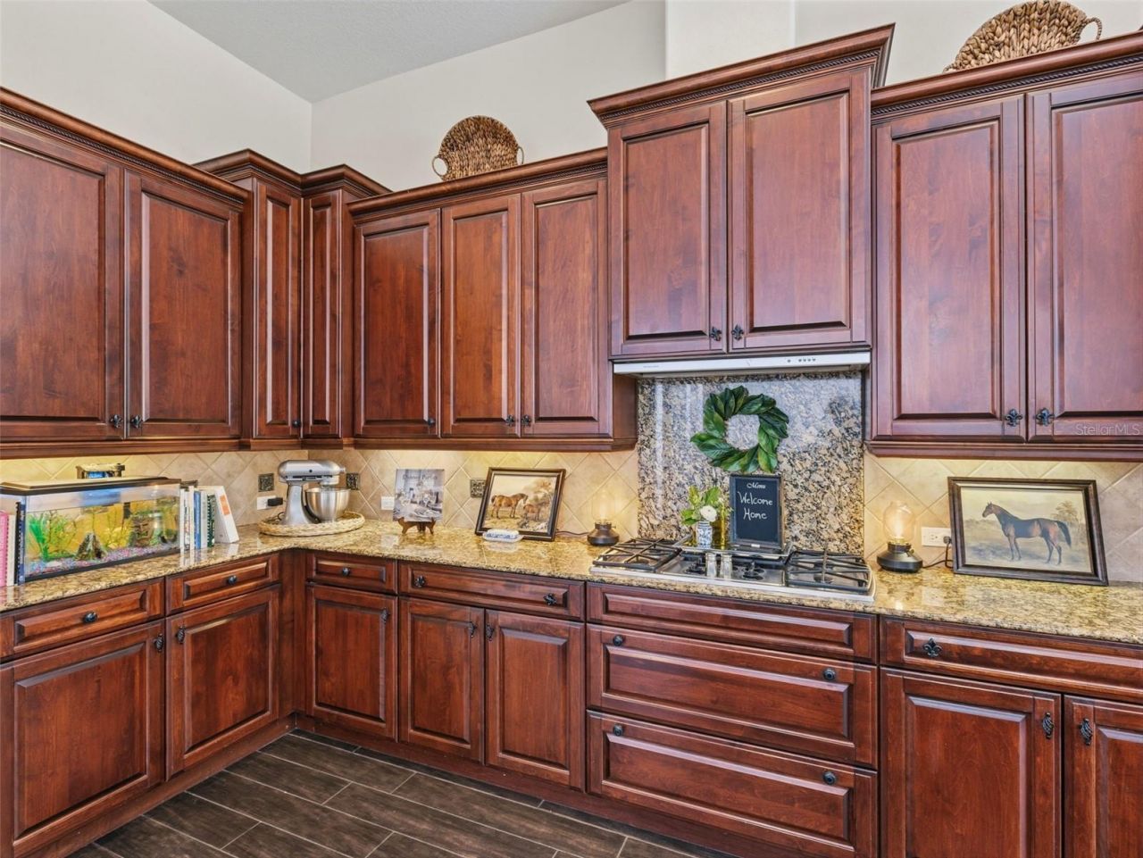 6121 Avocetridge Drive, Lithia, FL 33547 Photo