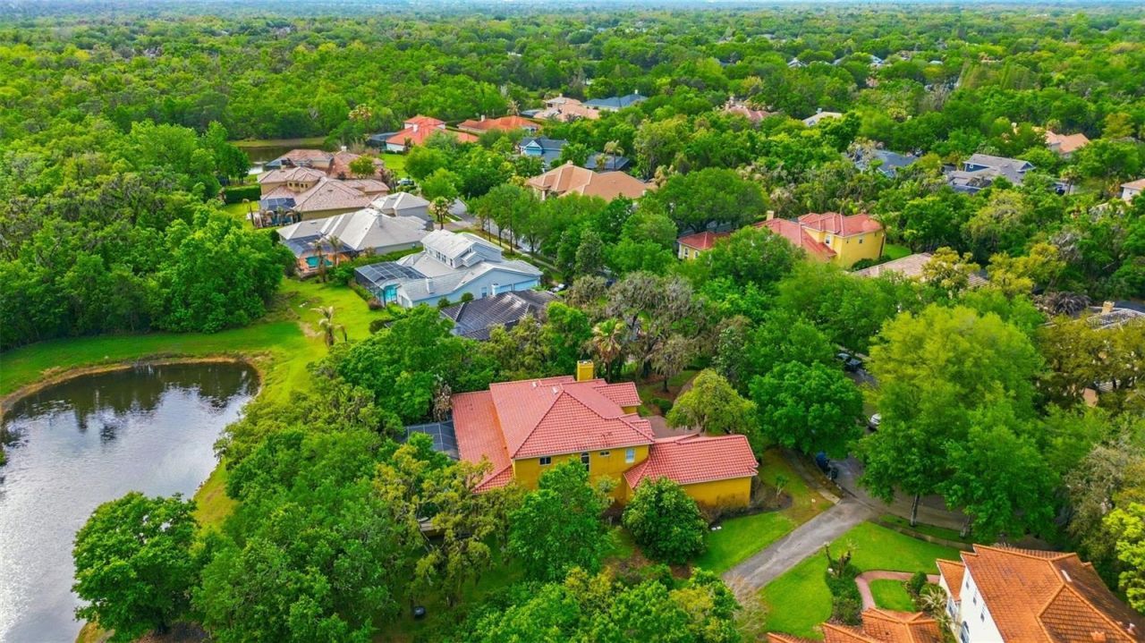 6121 Avocetridge Drive, Lithia, FL 33547 Photo