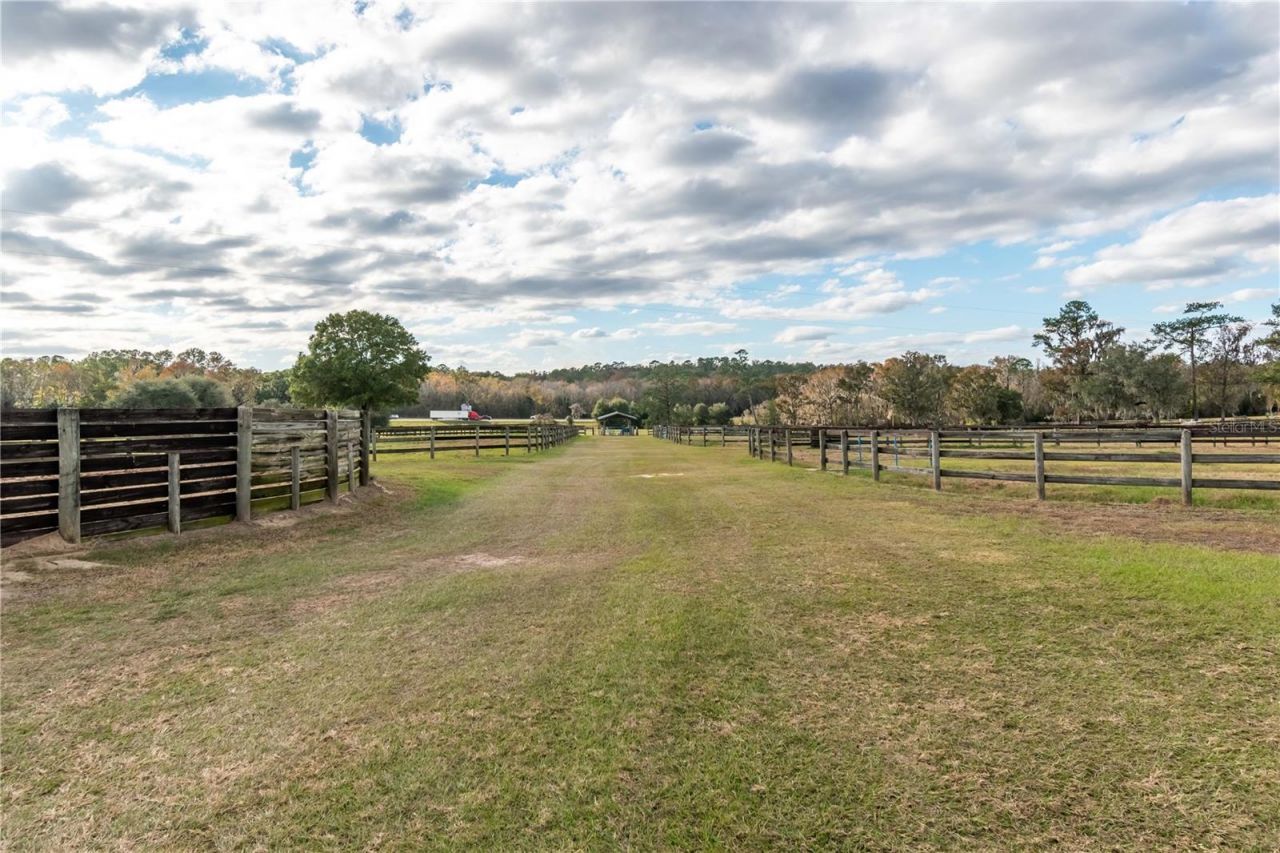 5100 W Hwy 329, Reddick, FL 32686 Photo