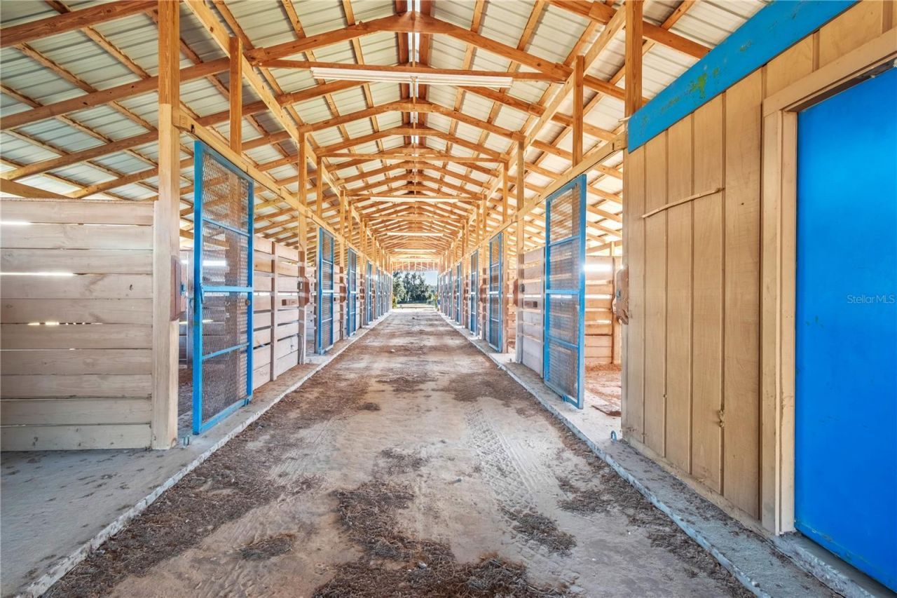 5100 W Hwy 329, Reddick, FL 32686 Photo