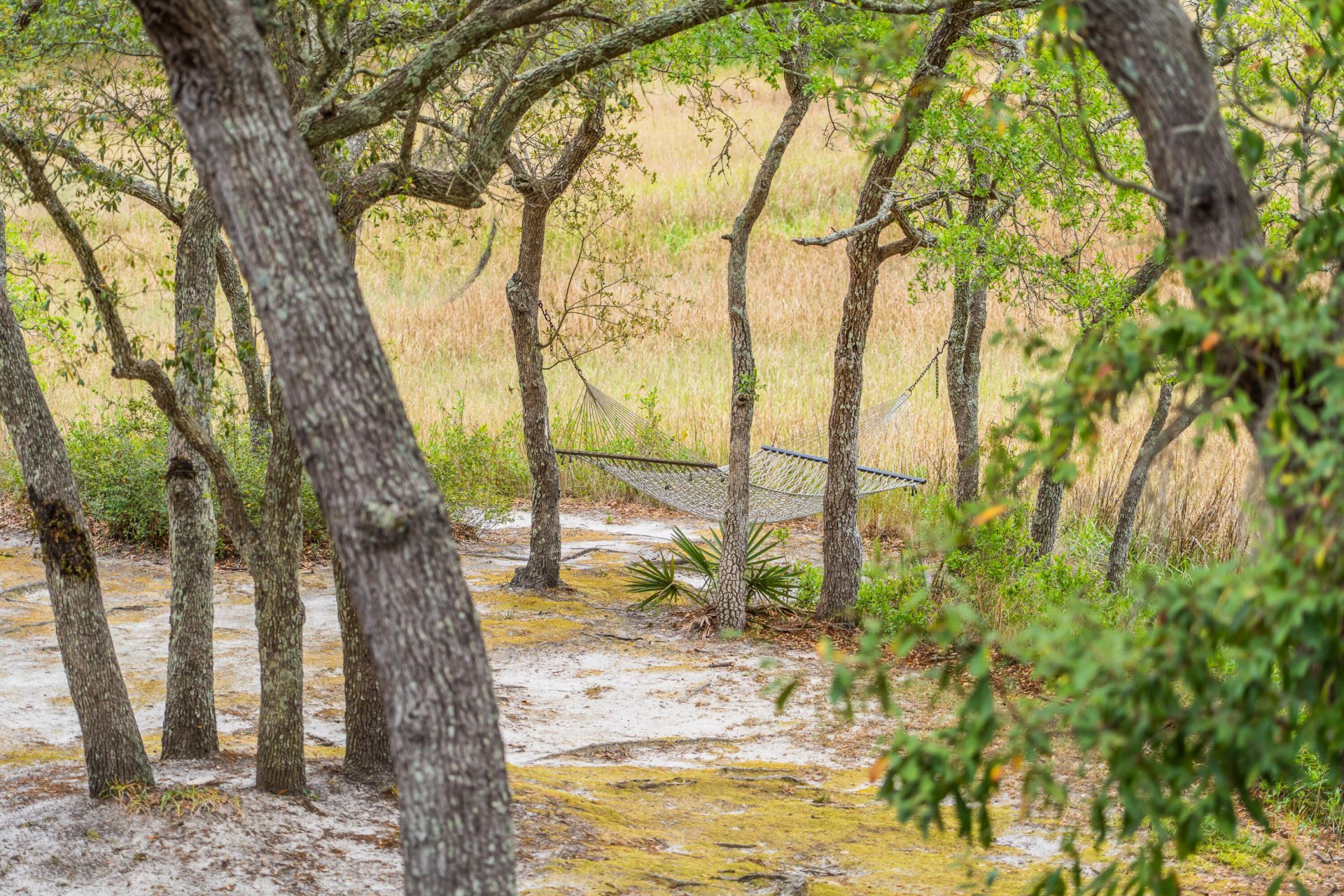 408 Saint Charles Court Photo 18