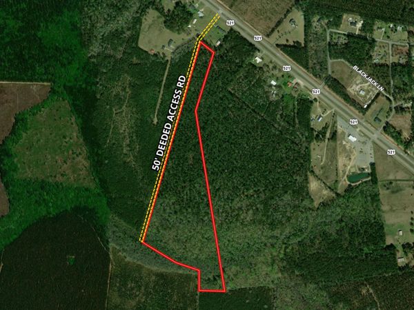 TBD Georgetown Hwy. , Andrews, SC 29510