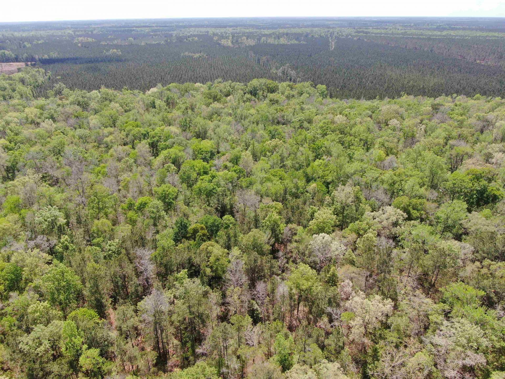 Tbd Georgetown Hwy. Photo 11